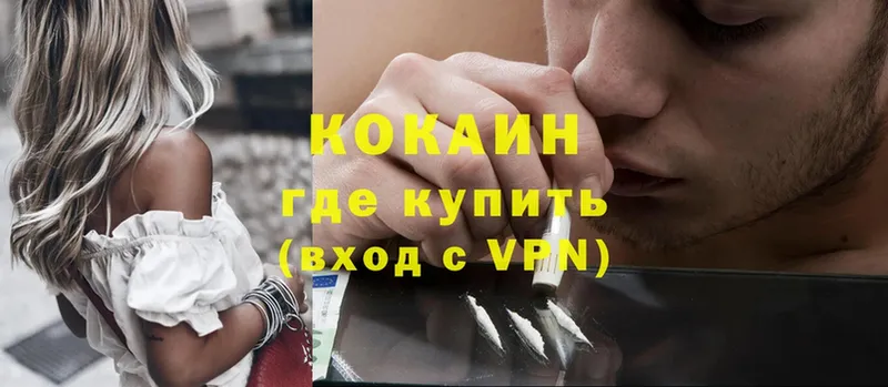 Cocaine Fish Scale  hydra как войти  Кедровый 